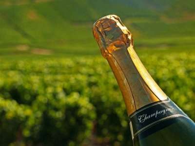 Giới thiệu về dòng rượu vang Pháp nổi tiếng thế giới