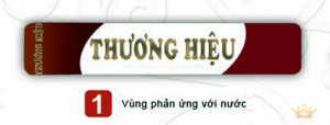 cach nhan biet ruou chivas 18 that 1 1