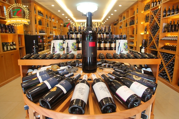 cach to chuc thiet ke ham u ruou 03