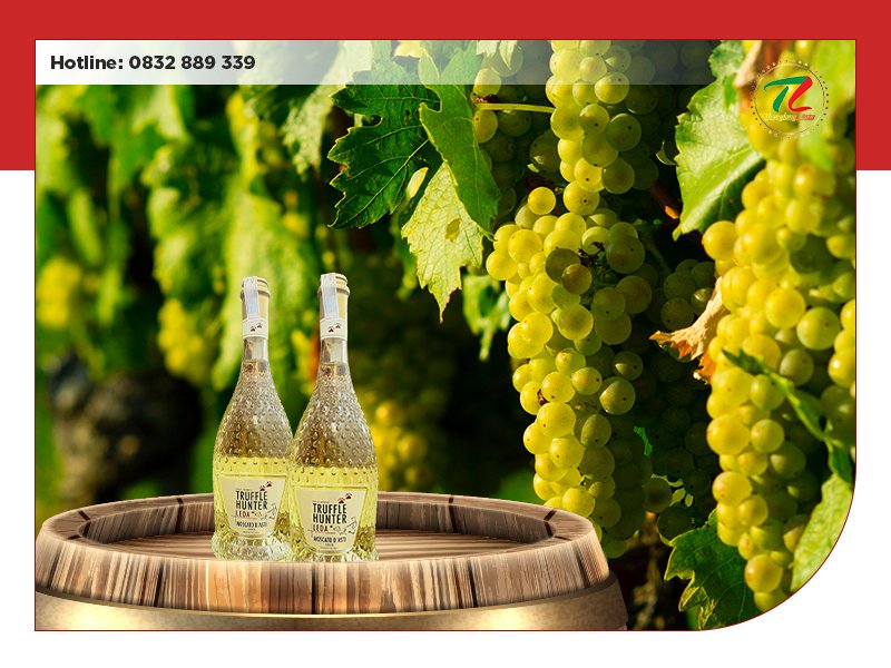 diem danh top cac loai ruou vang noi tieng nhat nuoc y 4