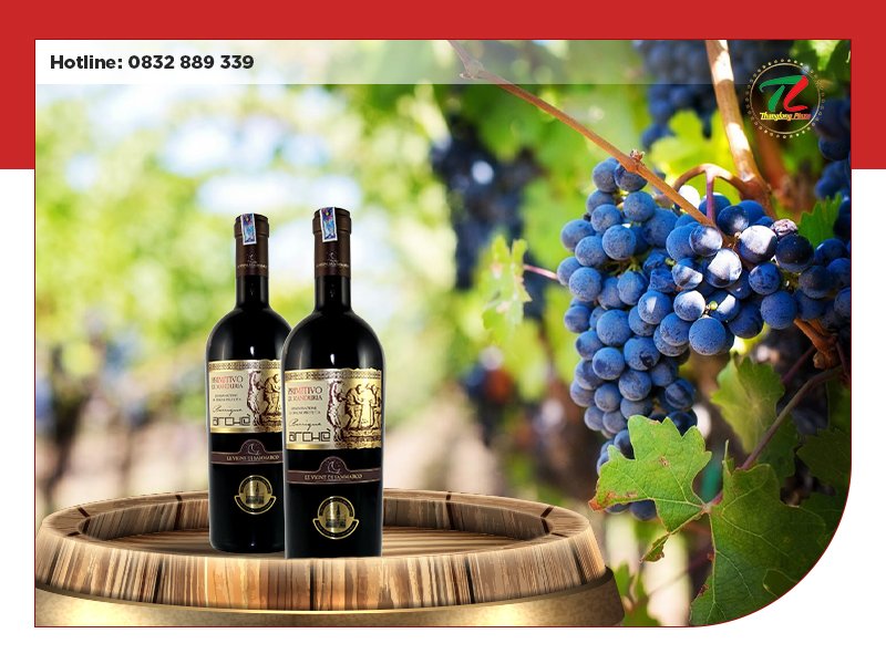 diem danh top cac loai ruou vang noi tieng nhat nuoc y 5