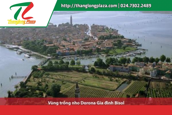 nuoc y ruou vang va cau chuyen ve nho0 photo