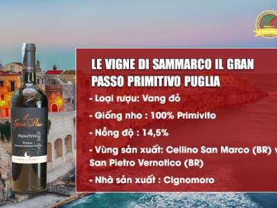  IL Gran Passo Primitivo Puglia – Niềm tự hào của rượu Vang Ý