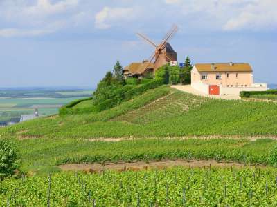 Khám phá những vùng sản xuất rượu vang Pháp nổi tiếng