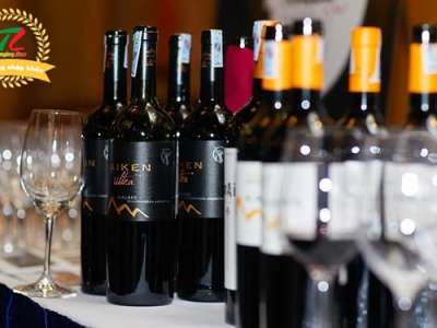Ngày hội thưởng thức rượu vang Argentina tại Hà Nội 