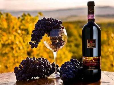 Nước Ý – cái nôi của ngành công nghiệp rượu vang thế giới 