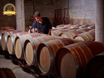 Quy trình sản xuất rượu vang diễn ra như thế nào?
