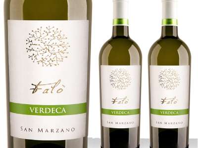 Tìm hiểu giống nho Verdeca làm rượu vang 