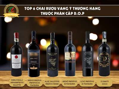 Top 6 chai rượu vang Ý thượng hạng thuộc phân cấp D.O.P
