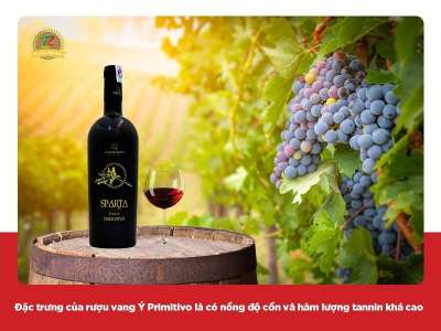 Rượu vang Ý Primitivo - Rượu vang tạo nên từ giống nho nổi tiếng miền Nam nước Ý