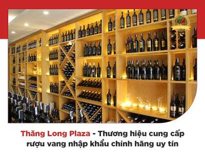 Thăng Long Plaza - Thương hiệu cung cấp vang nhập khẩu chính hãng tại Việt Nam