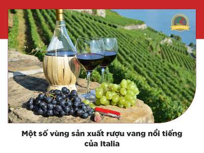 Tìm hiểu những vùng sản xuất rượu vang nổi tiếng của Italia