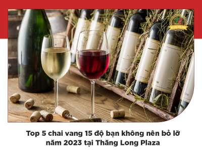 Top 5 chai vang 15 độ không nên bỏ lỡ năm 2023 tại Thăng Long Plaza