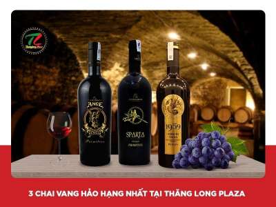 Top những chai vang Ý cao cấp tại Đồ uống nhập khẩu Thăng Long Plaza