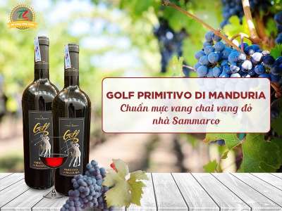 Vang Ý Golf Primitivo di Manduria: Sắc đỏ may mắn mang thịnh vượng và phồn vinh